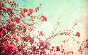 10 latest vintage spring desktop background full hd 1080p for pc desktop