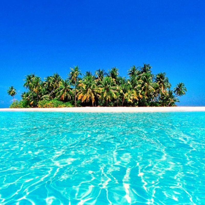 10 Most Popular Tropical Island Desktop Wallpaper FULL HD 1080p For PC Desktop 2024 free download 117 tropical island desktop backgrounds 800x800