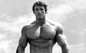 143 arnold schwarzenegger hd wallpapers | background images