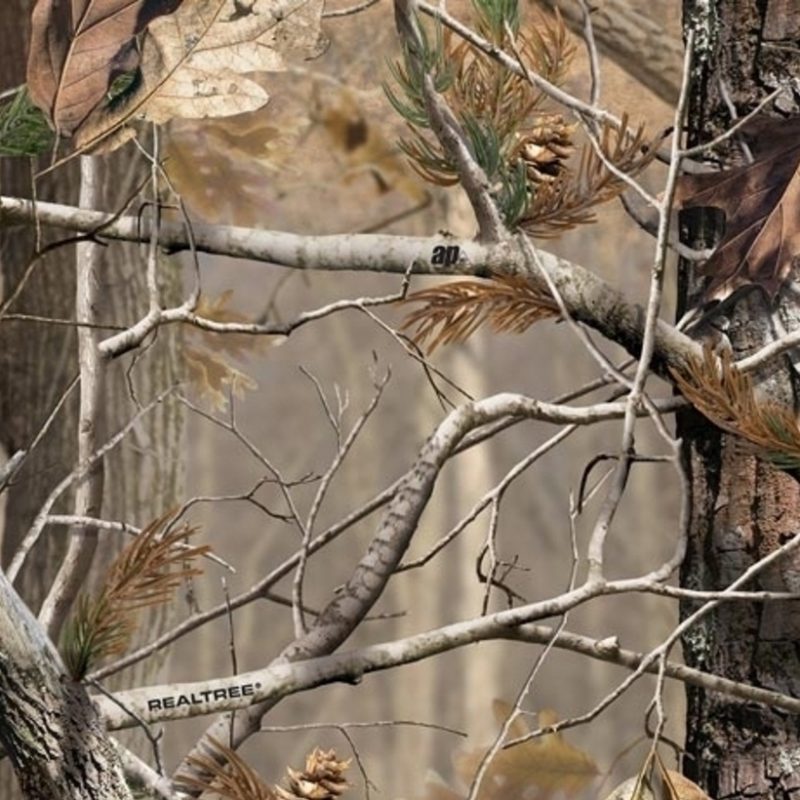 10 Most Popular Realtree Camouflage Wallpaper Hd FULL HD 1920×1080 For PC Background 2024 free download 17085 realtree camo desktop hd wallpaper walops 800x800