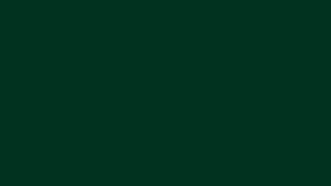 1920x1080 dark green solid color background