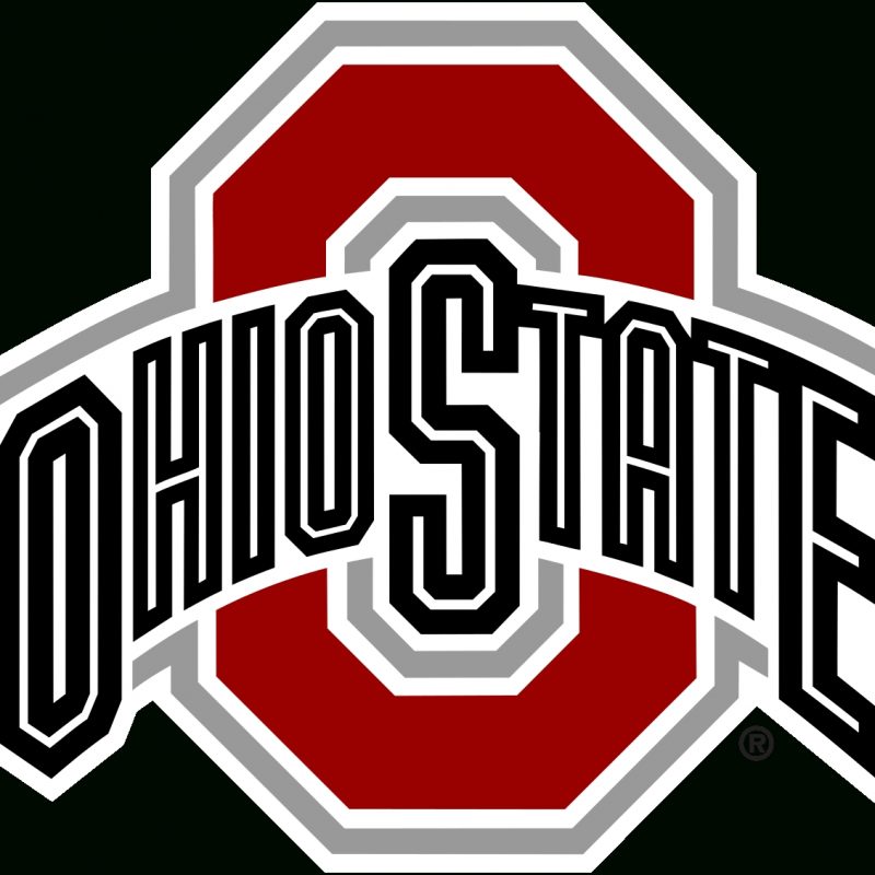 10 New Ohio State Buckeyes Image FULL HD 1920×1080 For PC Background 2023 free download 2008 ohio state buckeyes football team wikipedia 800x800