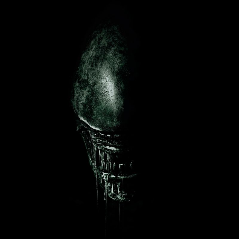 10 New Alien Covenant Hd Wallpaper FULL HD 1920×1080 For PC Background 2022 free download 2017 alien covenant 4k wallpapers hd wallpapers id 19845 800x800