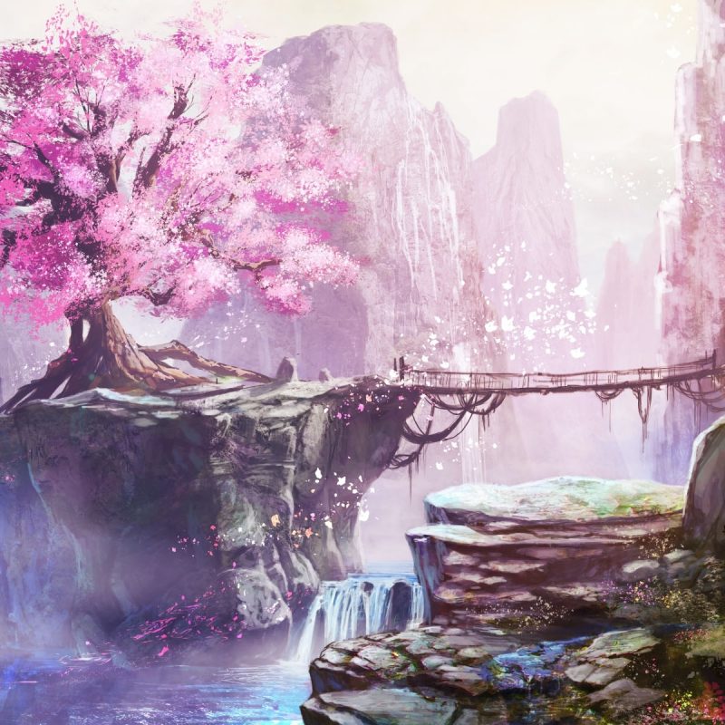 10 Most Popular Cherry Blossom Tree Anime Wallpaper FULL HD 1080p For PC Desktop 2023 free download 233 cherry blossom hd wallpapers background images wallpaper abyss 4 800x800