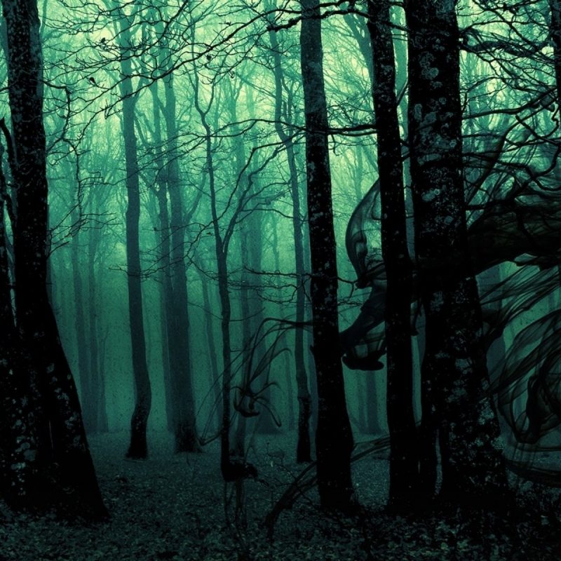 10 New Dark Forest Background Tumblr FULL HD 1920×1080 For PC Desktop 2024 free download 25 forest hd wallpapers background images wallpaper abyss 1 800x800