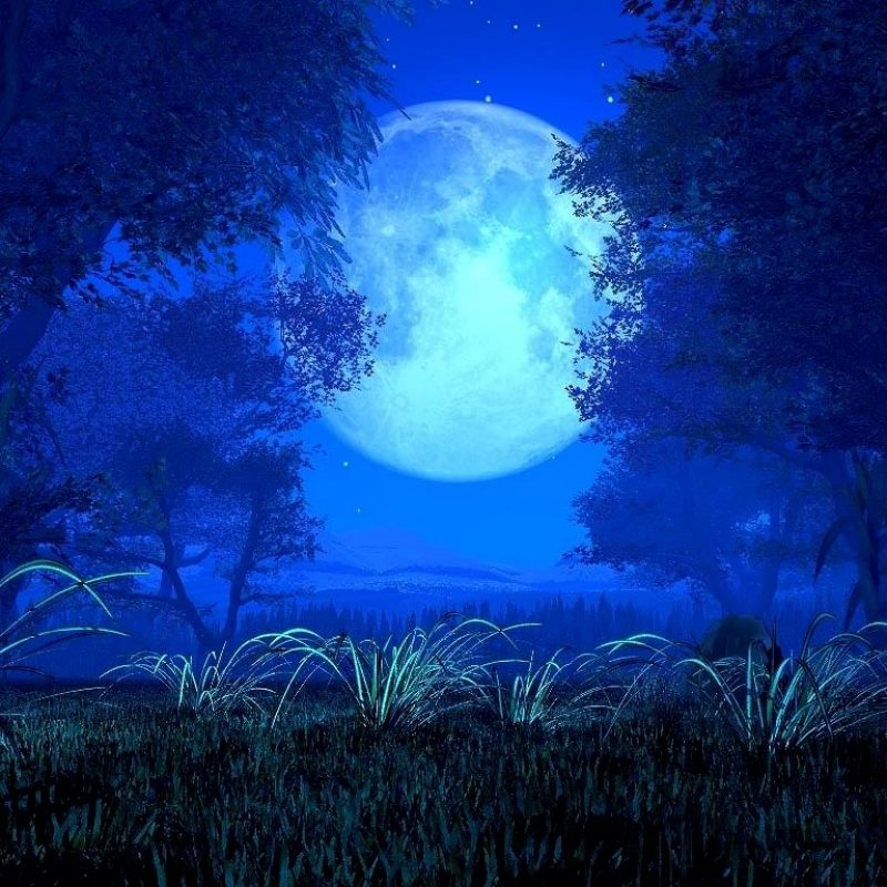 10 Best Anime Blue Moon Wallpaper FULL HD 1080p For PC Background 2022 free download 25 impressive collection of blue backgrounds photography 800x800