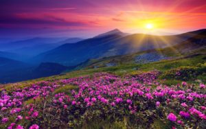 2560x1600 mountains azalea sunset wallpaper | mountain's | pinterest