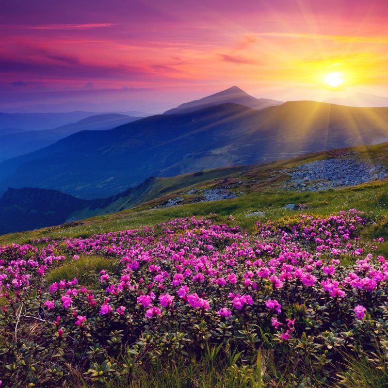 10 New Beautiful Sunset Mountain Wallpapers FULL HD 1920×1080 For PC Background 2022 free download 2560x1600 mountains azalea sunset wallpaper mountains pinterest 800x800