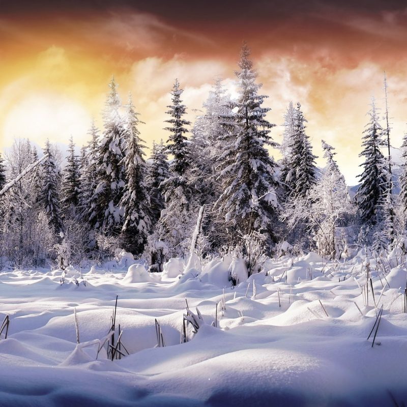 10 Latest Winter Snow Wallpaper Hd FULL HD 1920×1080 For PC Background 2022 free download 2603 winter hd wallpapers background images wallpaper abyss 800x800