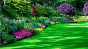 263 garden hd wallpapers | background images - wallpaper abyss