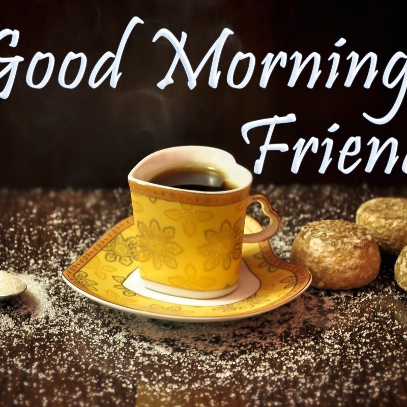 10 Most Popular Good Morning Friends Wallpaper FULL HD 1920×1080 For PC Background 2023 free download 27120 good morning friend wallpaper hd 1920 x 1200 800x800