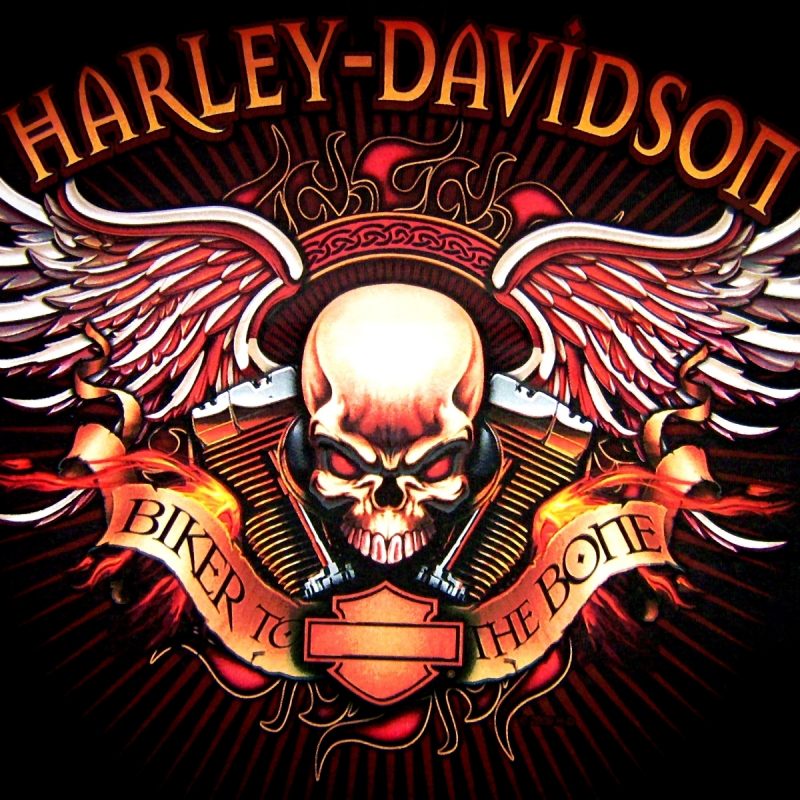 10 Top Harley Davidson Logo Wallpaper FULL HD 1080p For PC Desktop 2022 free download 299 harley davidson fonds decran hd arriere plans wallpaper abyss 800x800