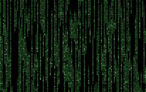 31 the matrix hd wallpapers | background images - wallpaper abyss