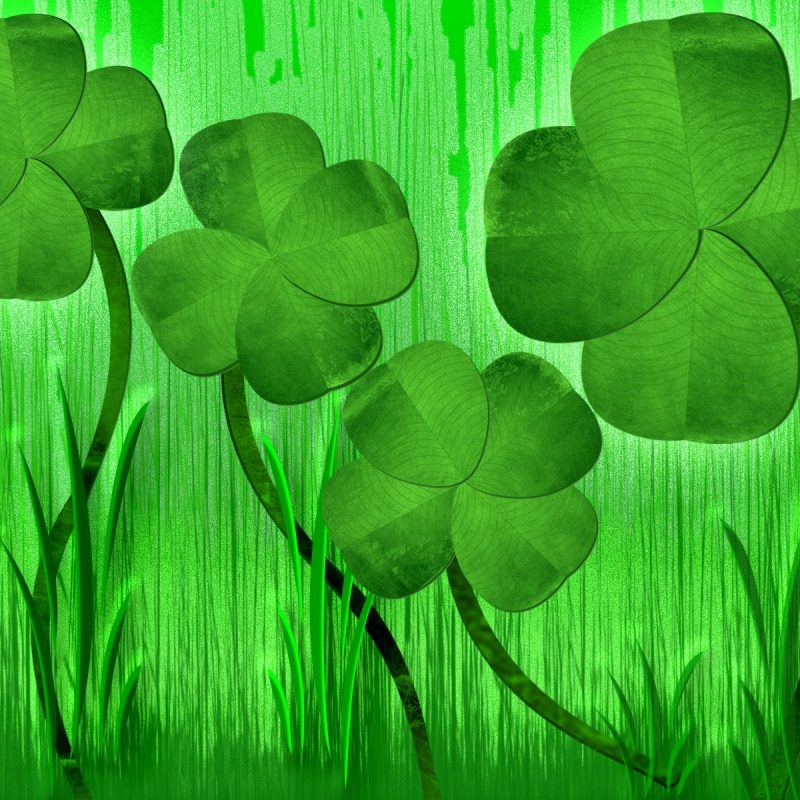 10 Most Popular 4 Leaf Clover Wallpaper FULL HD 1080p For PC Background 2023 free download 4 four leaf clover onlookin 1 800x800