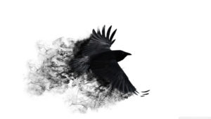 70+ crow desktop wallpapers on wallpaperplay