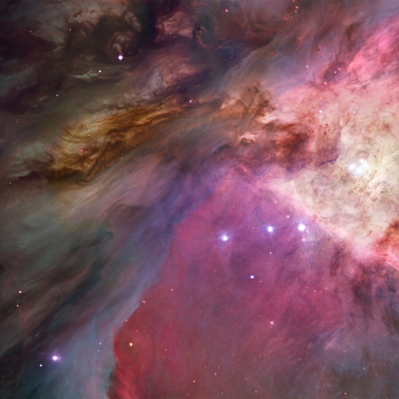 10 Best Orion Nebula Hubble Wallpaper FULL HD 1080p For PC Background 2022 free download 979 hubble orion nebula wallpaper 800x800