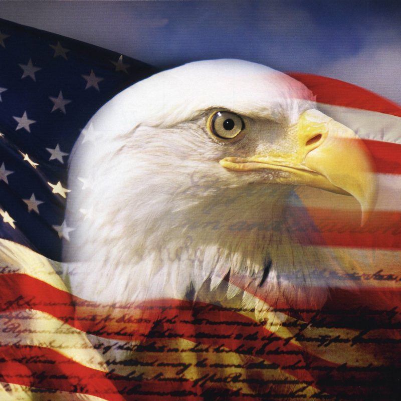 10 Latest Usa Flag Eagle Wallpaper FULL HD 1920×1080 For PC Background 2022 free download american eagle wallpaper hd yodobi 800x800