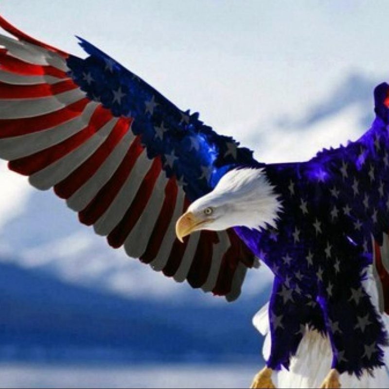 10 Latest Usa Flag Eagle Wallpaper FULL HD 1920×1080 For PC Background 2022 free download american flag wallpaper desktop wallpaper gallery 1 800x800