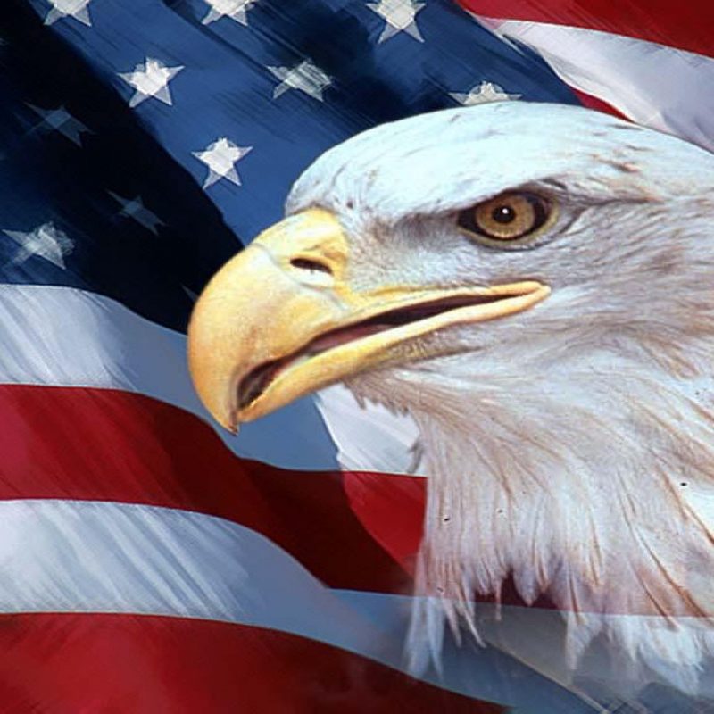 10 Latest Usa Flag Eagle Wallpaper FULL HD 1920×1080 For PC Background 2022 free download american flag with eagle wallpaper 70 images 2 800x800