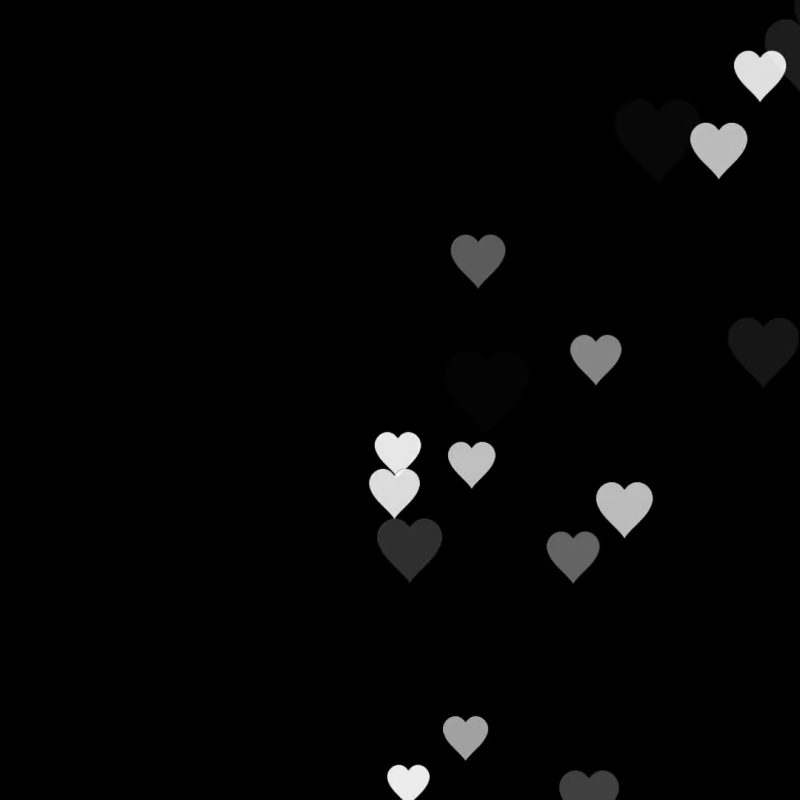 10 New White Heart Black Background FULL HD 1080p For PC Background 2022 free download animated many moving small white hearts useful greeting for wishing 800x800