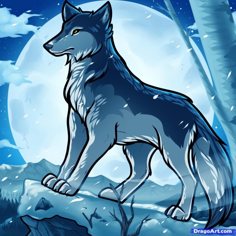 10 Most Popular Pics Of Anime Wolves FULL HD 1920×1080 For PC Background 2022 free download anime wolves images jake the anime wolf hd wallpaper and background 800x800