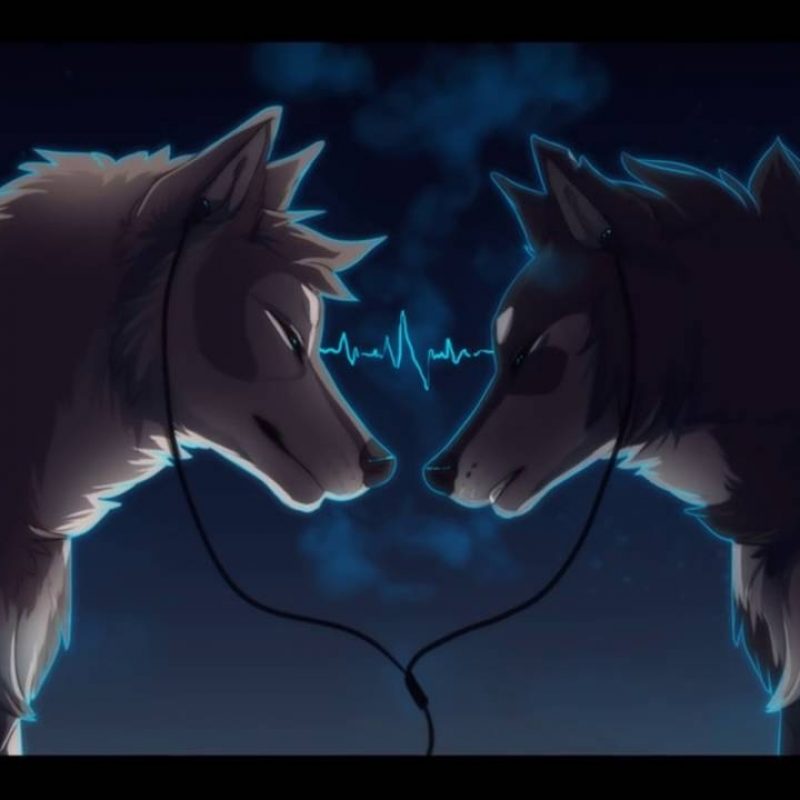 10 Most Popular Pics Of Anime Wolves FULL HD 1920×1080 For PC Background 2022 free download anime wolves stereo heart youtube 800x800