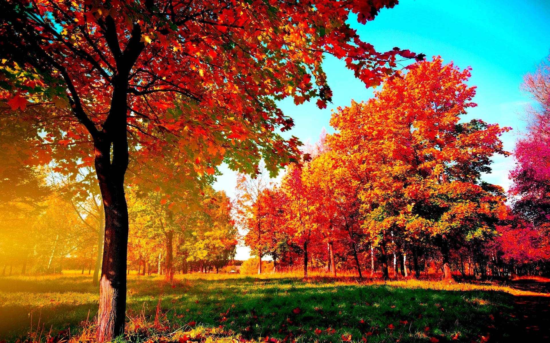 10 Best Autumn Pictures For Desktop Backgrounds Full Hd 1080p For Pc