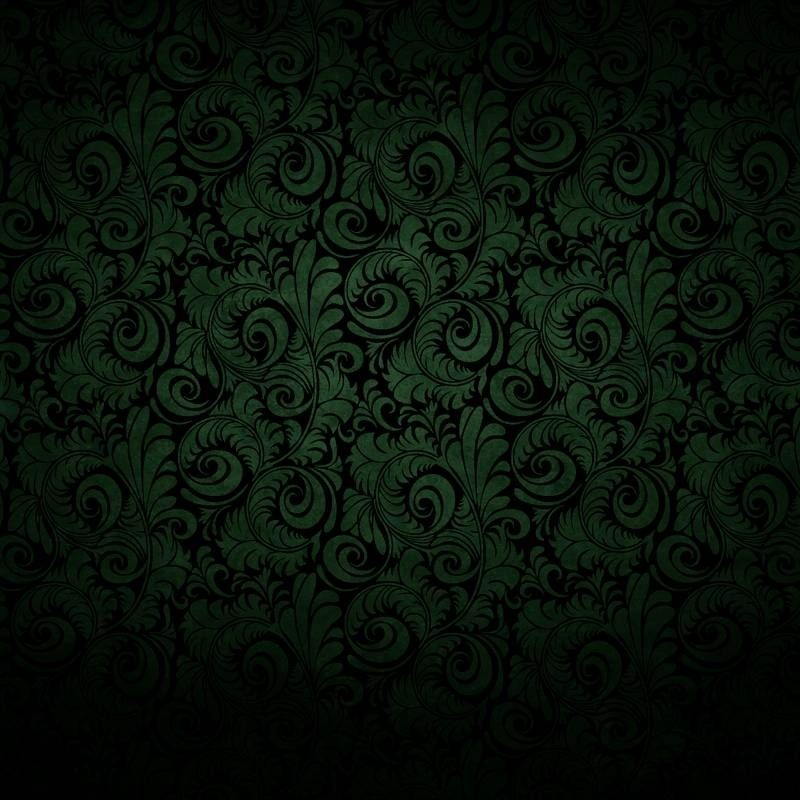10 Best Green And Black Wallpapers FULL HD 1920×1080 For PC Background 2022 free download awesome green wallpaper 17323 1280x800 px hdwallsource 800x800