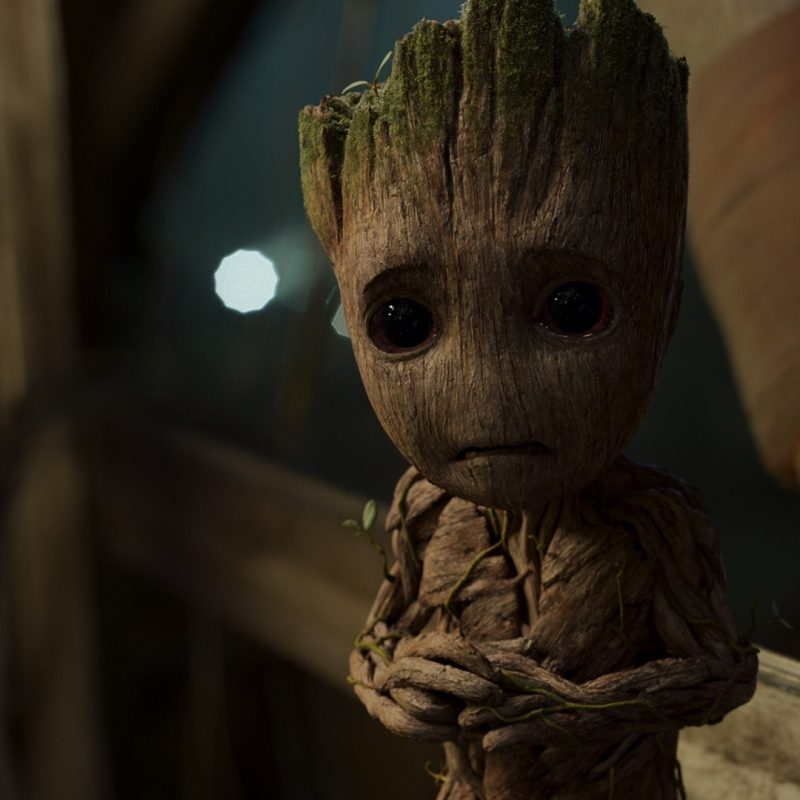 10 Most Popular Baby Groot Desktop Background FULL HD 1920×1080 For PC Desktop 2022 free download baby groot guardians of the galaxy v wallpaper 38458 800x800