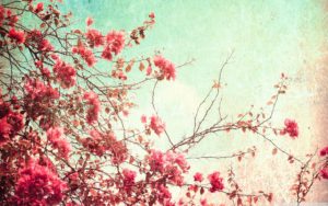 backgrounds for &gt; cute vintage desktop wallpaper | laptop