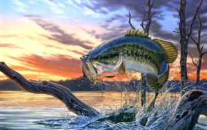 bass images of fish | largemouth bass fishing wallpaper background