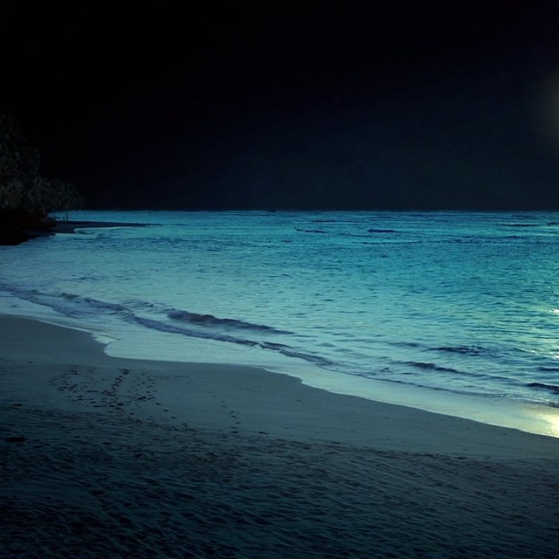 10 New Beach At Night Wallpaper FULL HD 1080p For PC Background 2022 free download beach at night hd desktop wallpaper instagram photo background 800x800