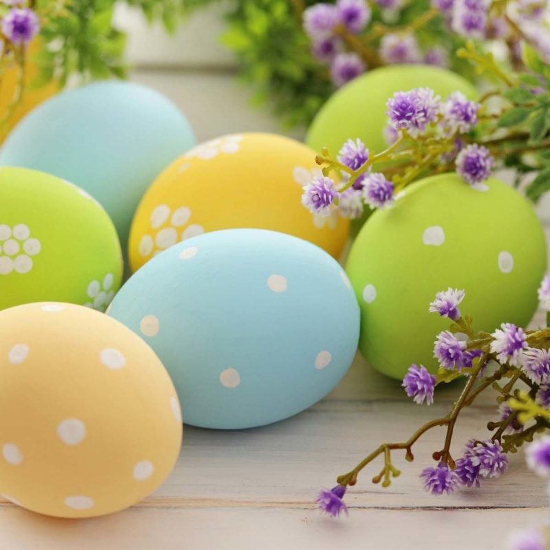 10 Latest Free Easter Computer Wallpaper FULL HD 1080p For PC Background 2022 free download beautiful easter desktop wallpaper 74 images 800x800