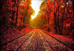 beautiful fall pictures | beautiful autumn wallpaper « desktop