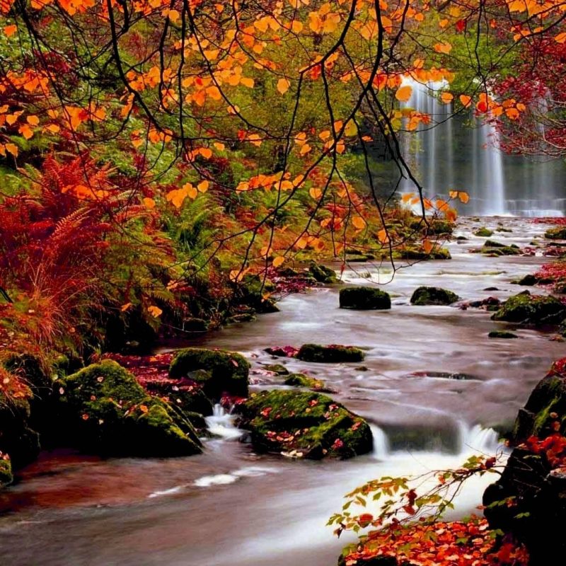 10 Most Popular Beautiful Fall Scenery Background FULL HD 1080p For PC Background 2022 free download beautiful fall scenery wallpaper download hd wallpapers 800x800