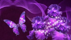 beautiful purple flowers images - bing images | butterflies