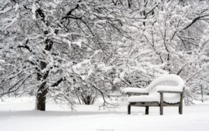 beautiful snow falling pictures*~~* - virtual university of pakistan