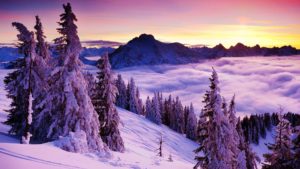 beautiful winter landscape wallpaper – cool hd wallpapers | food