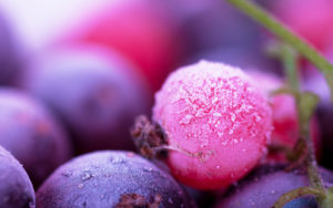 berry hd wallpaper | background image | 2880x1800 | id:346467