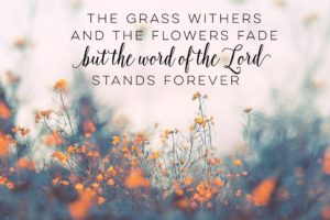 bible verse desktop wallpaper | desktop wallpapers | pinterest