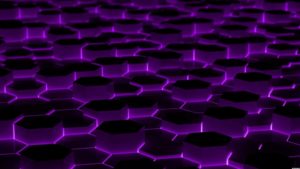 black and purple wallpapers - wallpaper cave