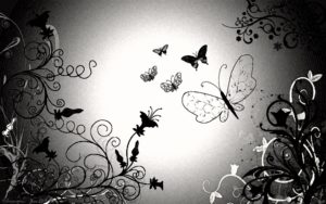 black and white butterfly wallpaper hd #9398 hd wallpaper | download