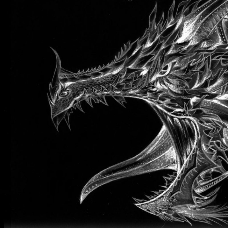 10 Top White Dragon Wallpaper Hd FULL HD 1920×1080 For PC Background 2022 free download black and white dragon wallpaper and background image 1366x768 800x800