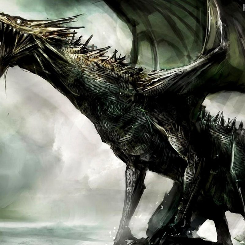10 Best Dragon Wallpaper Hd 1080P FULL HD 1920×1080 For PC Background 2024 free download black dragon wallpaper collection 54 1 800x800