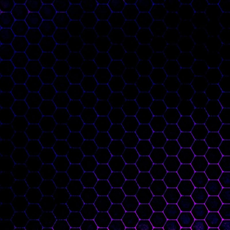 10 Top Black And Purple Wallpaper FULL HD 1920×1080 For PC Background 2022 free download black wallpaper screensaver hd 6284 wallpaper walldiskpaper 1 800x800