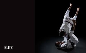 blitz brazilian jiu jitsu wallpaper (2560 x 1600) | brazilian jiu