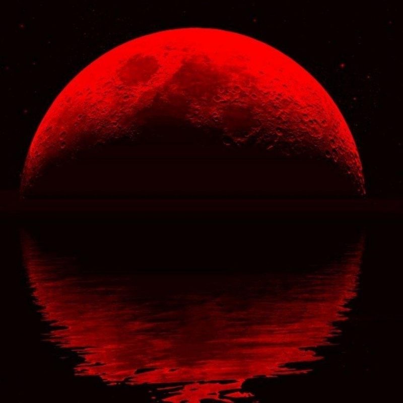 10 Best Red Moon Wallpaper Hd FULL HD 1080p For PC Background 2022 free download blood moon wallpapers wallpaper cave 800x800