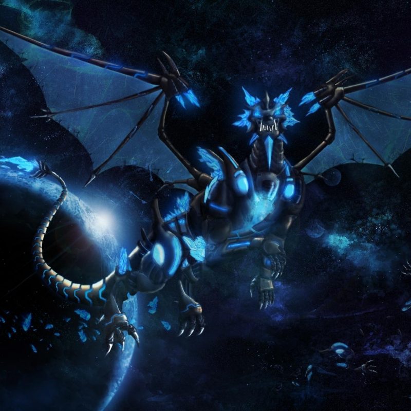 10 Most Popular Cool Blue Dragon Wallpapers FULL HD 1920×1080 For PC Background 2024 free download blue dragon wallpapers wallpaper cave 1 800x800