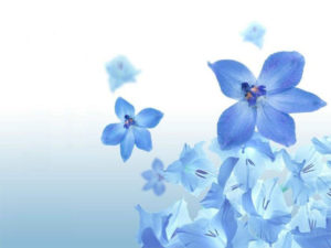 blue flower wallpapers - wallpaper cave