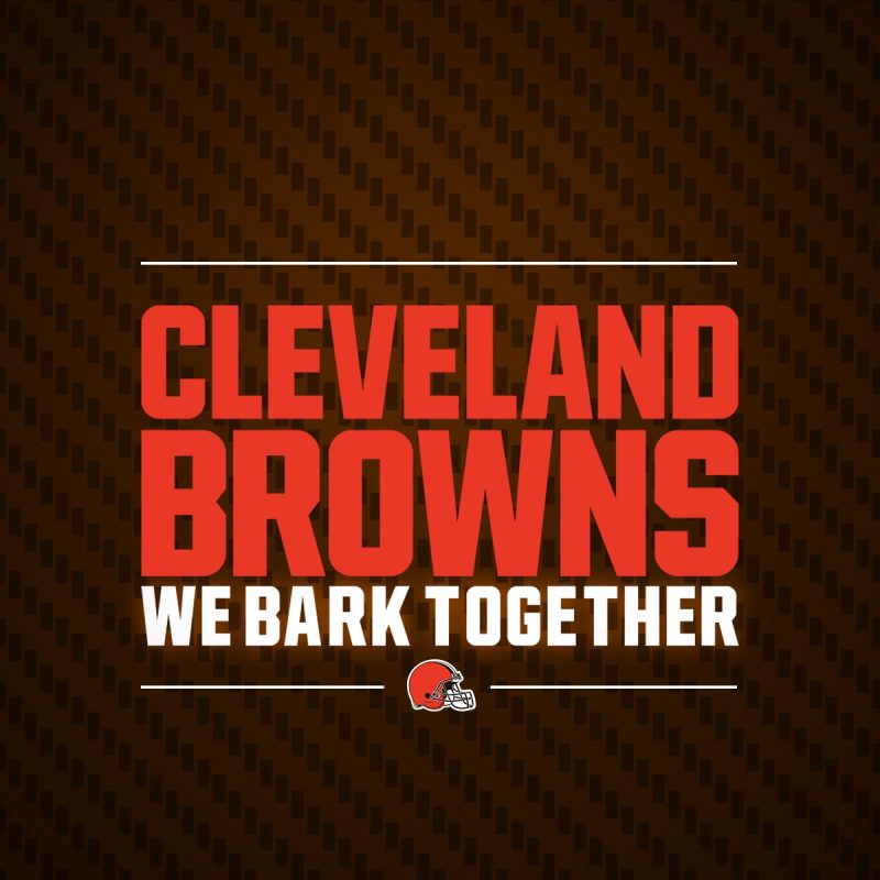 10 Most Popular Cleveland Browns Hd Wallpaper FULL HD 1920×1080 For PC Background 2022 free download browns wallpapers cleveland browns 3 800x800